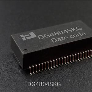 2.5-5G DG4804SKG